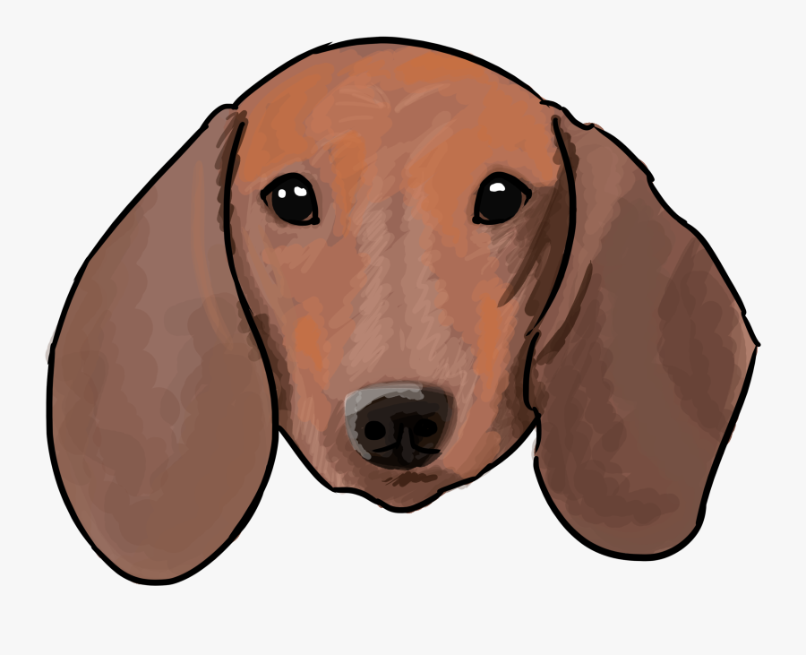 Basset Hound, Transparent Clipart