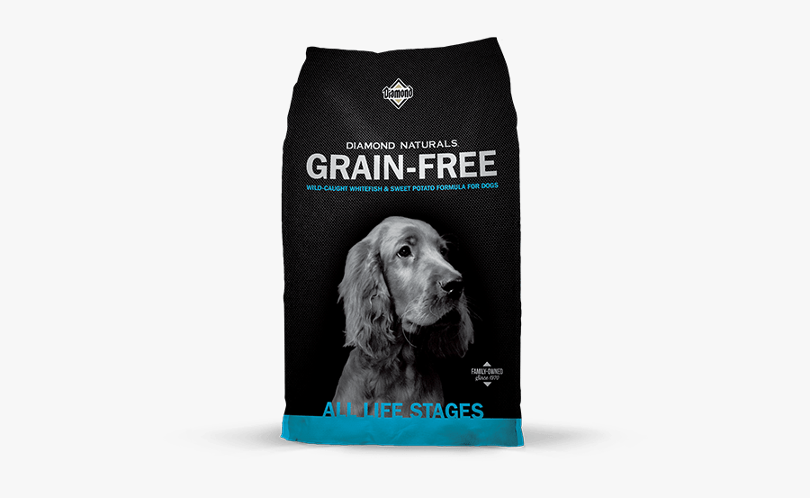 Cocker Spaniel, Transparent Clipart