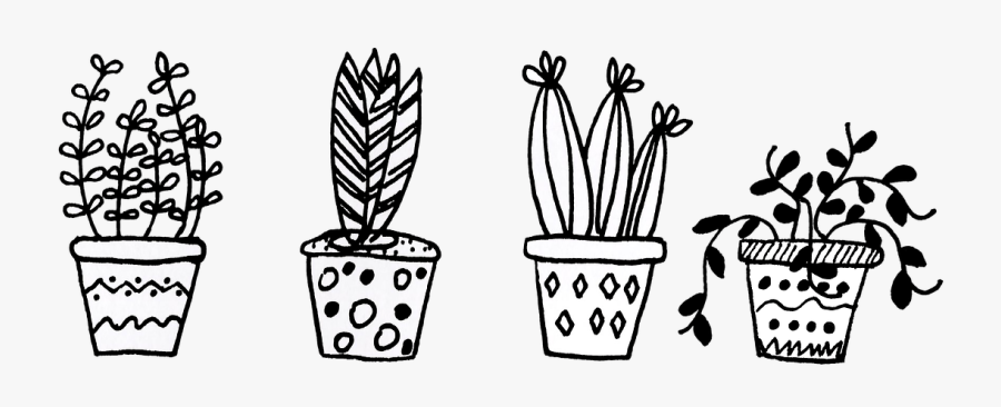 Plants, Flowerpot, Cacti, Flowers - Cactus Black And White Png, Transparent Clipart