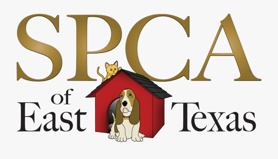 Basset Hound, Transparent Clipart