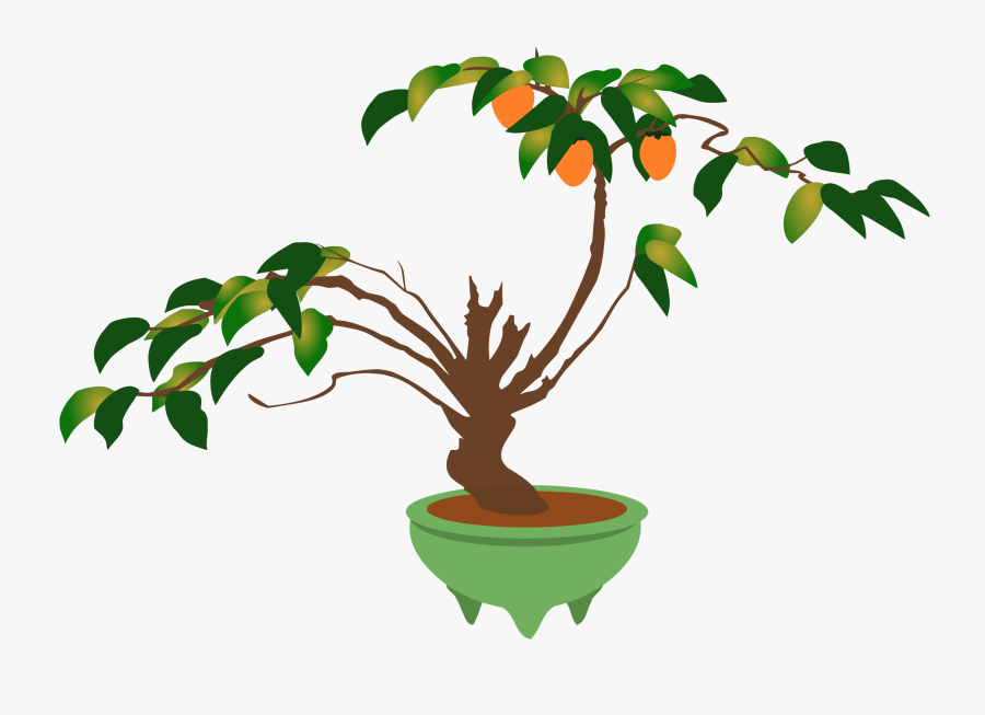 Branch Bonsai Flowerpot Ornamental Plant Houseplant - Bonsai Plant Png Clipart, Transparent Clipart