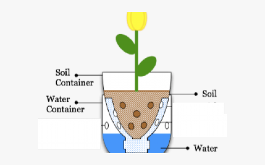 Seed Clipart Water Flower - Sub Irrigated Planter, Transparent Clipart