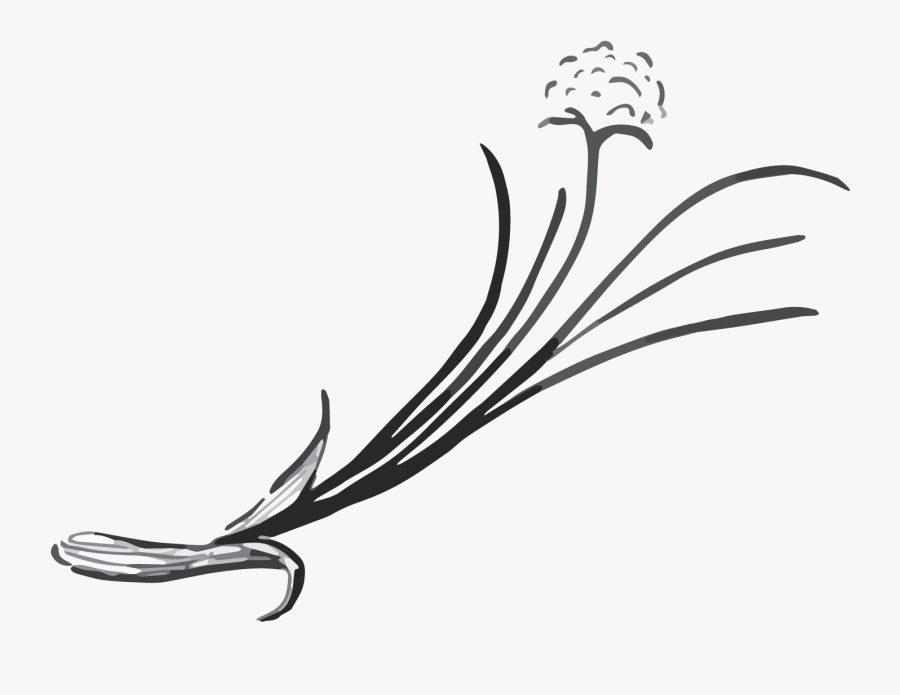 Chived Black And White, Transparent Clipart