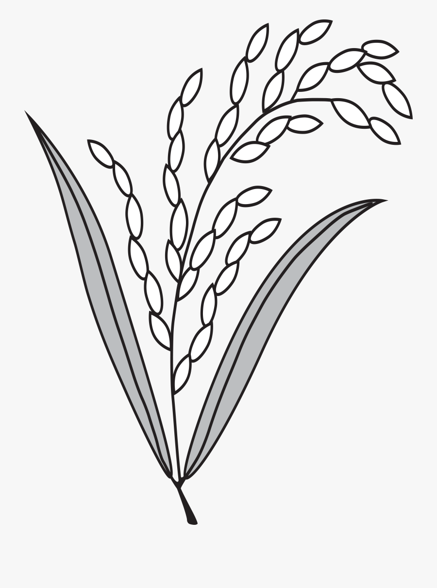 Dhaner Shish - Bangladesh Nationalist Party Logo, Transparent Clipart