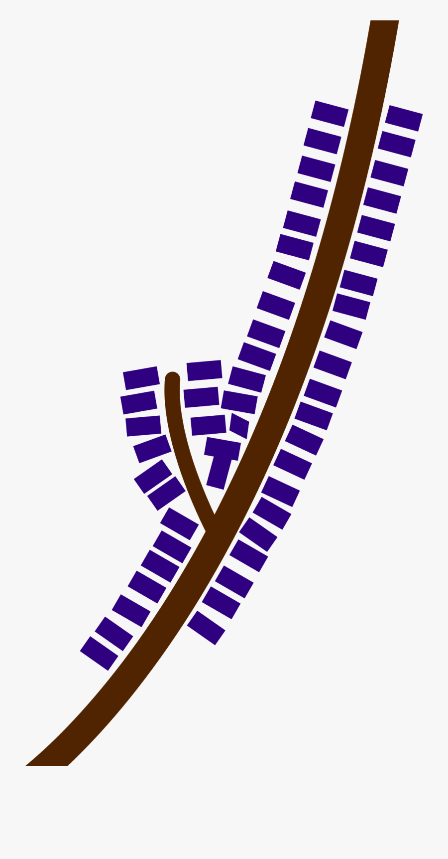 Transparent First Place Ribbon Clipart - Ribbon Development, Transparent Clipart