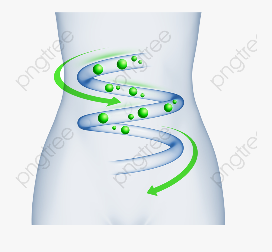 Transparent Juggling Clipart - Digestion Clipart Png, Transparent Clipart
