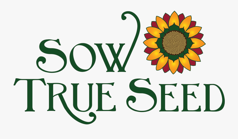 In 2014 Sow True Seed Had A Meeting To Discuss How - Sow True Seed Logo, Transparent Clipart