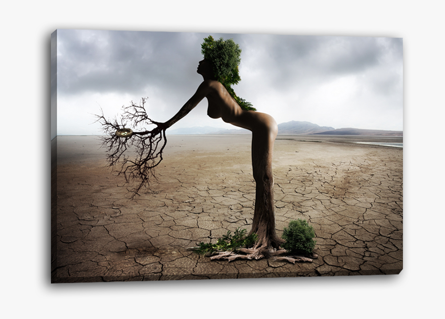Transparent Dying Tree Png - Nude On Tree, Transparent Clipart
