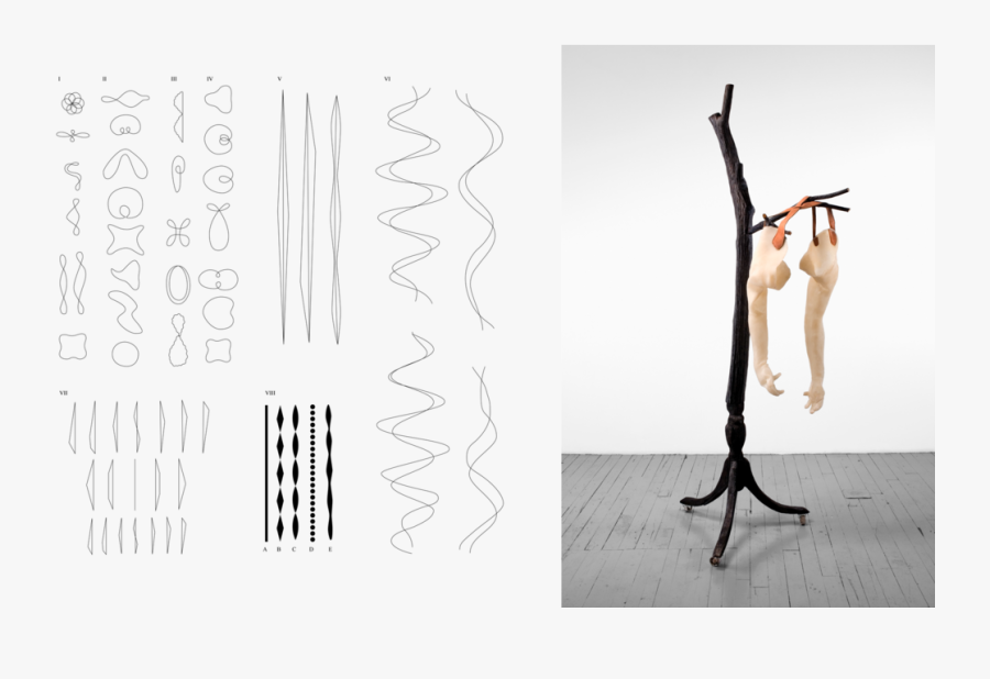 Transparent Geranium Png - Nude Photography, Transparent Clipart