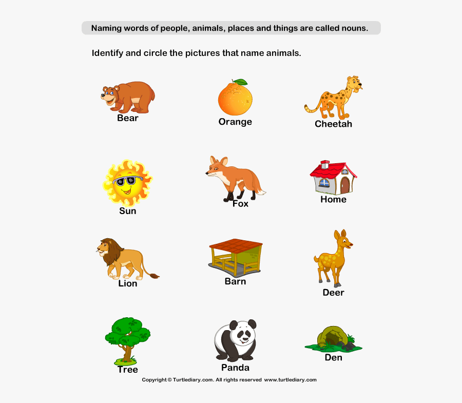 Naming Animal Nouns Worksheet - Naming Words For Animals, Transparent Clipart