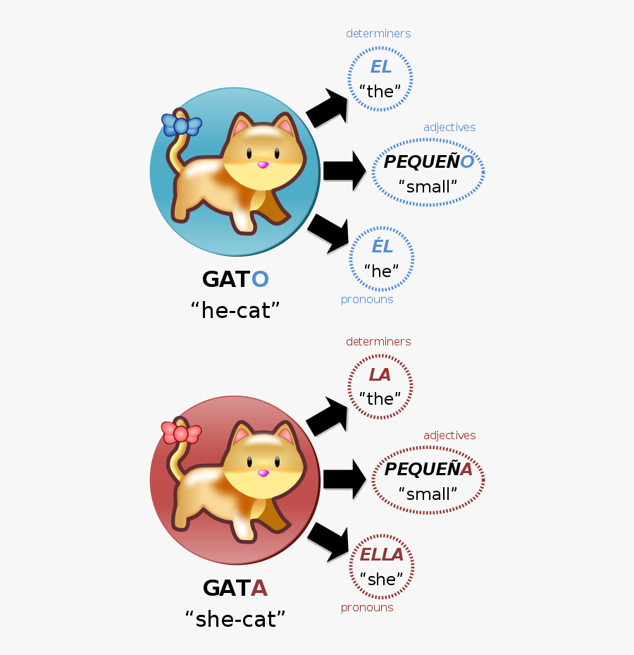 Friendly Clipart Us Pronoun - Does Gato Mean In Spanish, Transparent Clipart