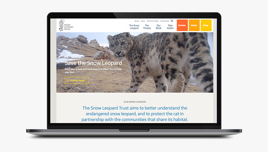 Snow Leopard, Transparent Clipart