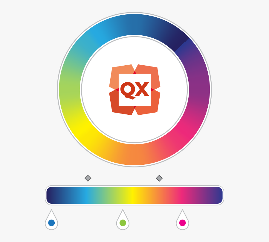 Circle, Transparent Clipart