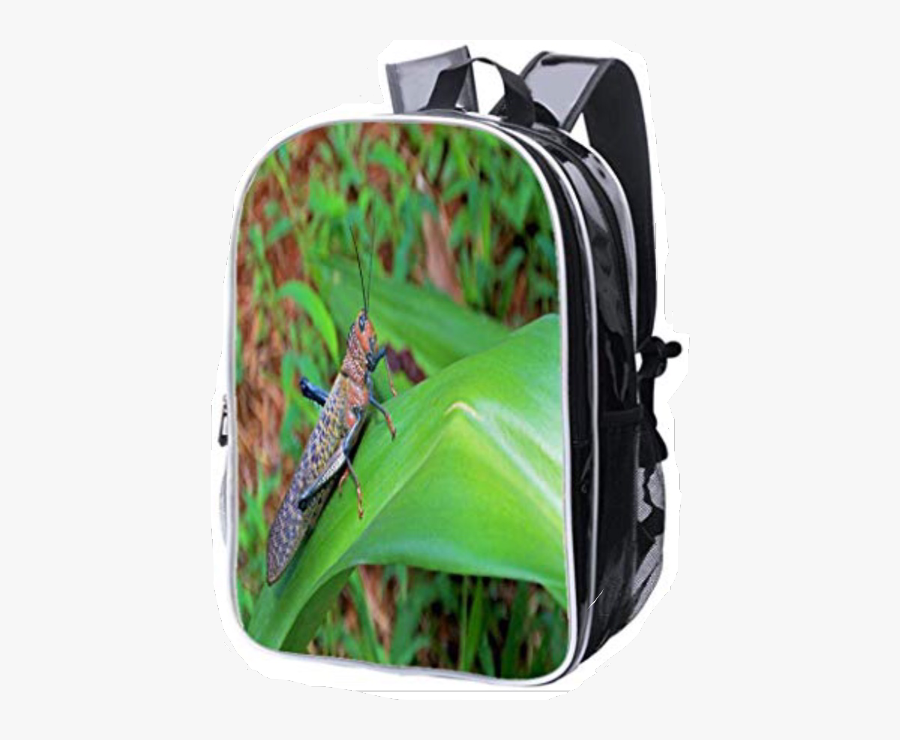 Scbackpack Backpack Freetoedit - Nba Player School Bags, Transparent Clipart