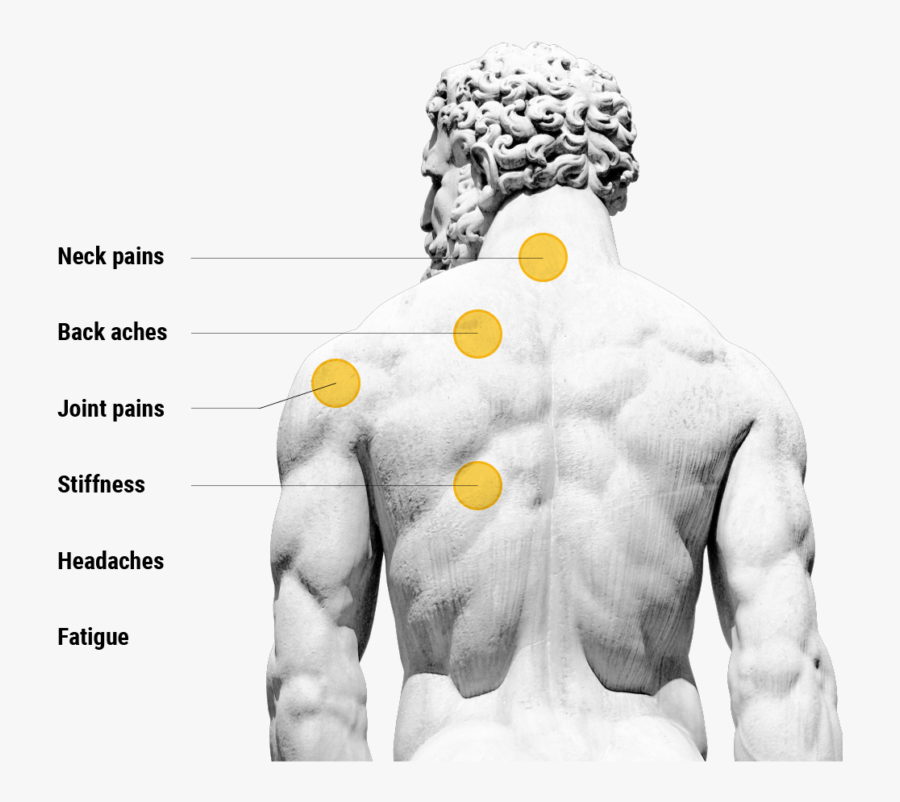 The Posture Lab Back - Muscular Statue, Transparent Clipart