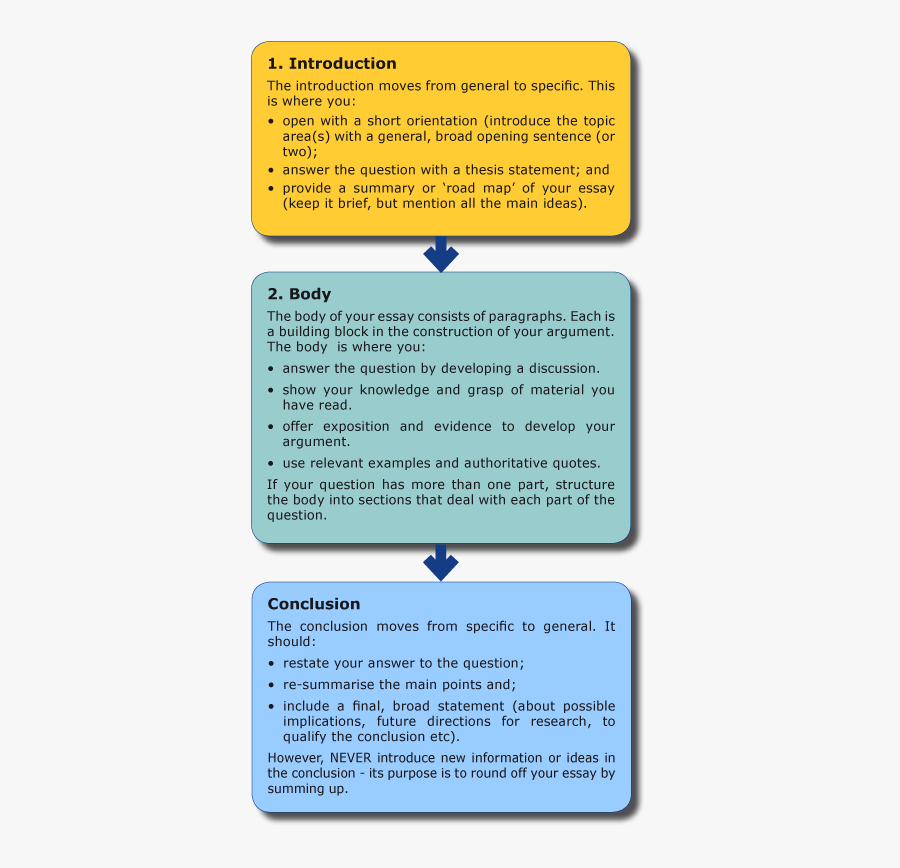 College essay structure image