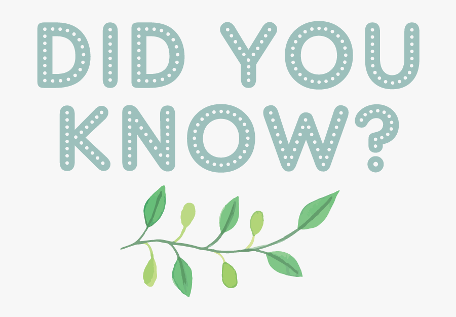 Night At The Movies, Transparent Clipart