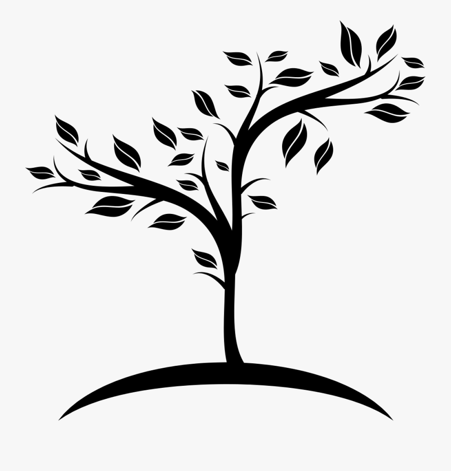 Tree Growing Png & Free Tree Growing Transparent Images - Growing Tree Gif Png, Transparent Clipart