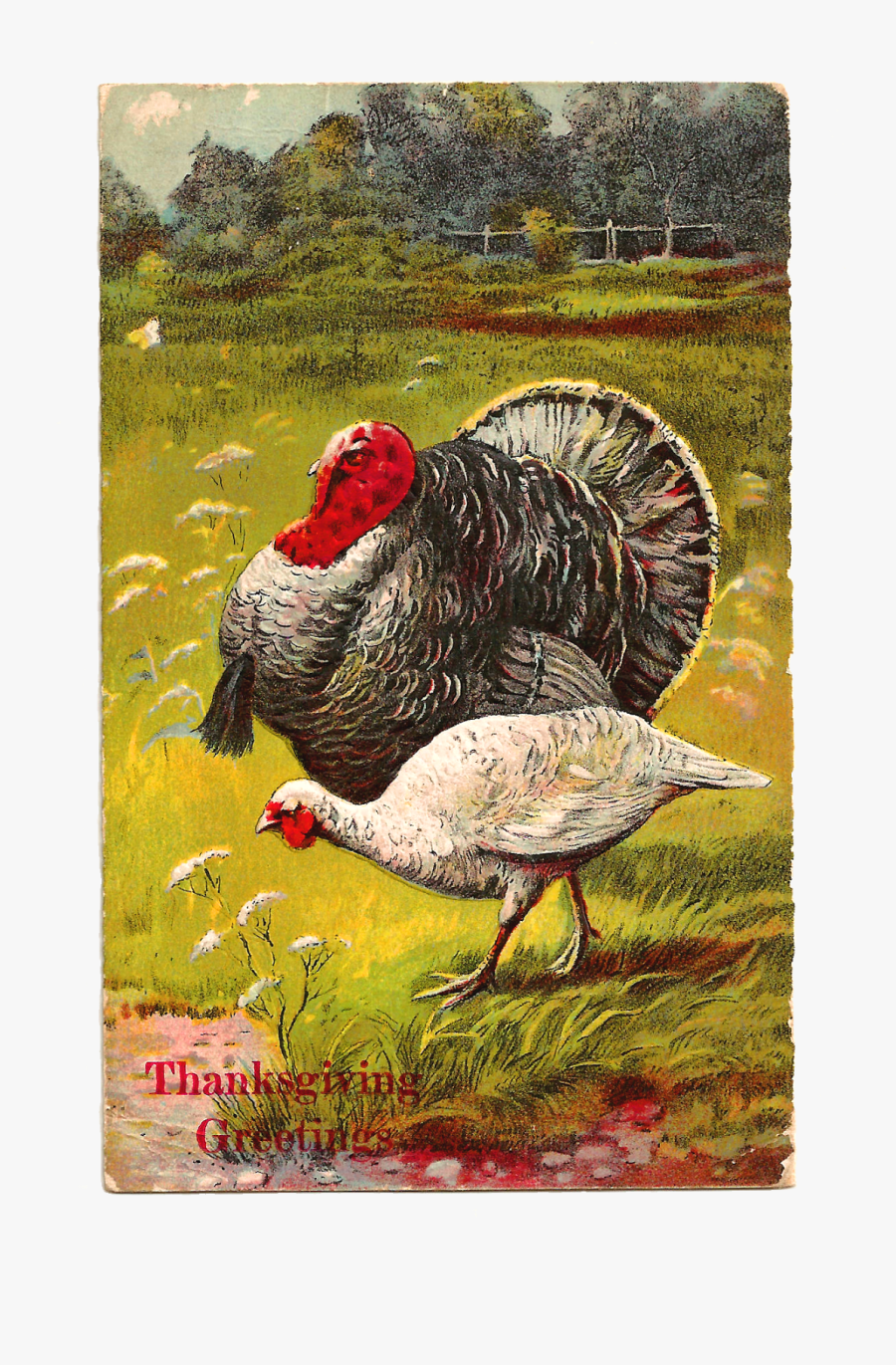 Thanksgiving Clipart Greeting - Turkey, Transparent Clipart