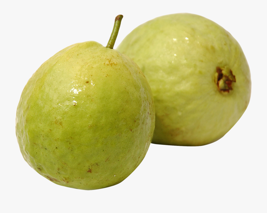 Jerusalem Artichokes Png Transparent Images - Guava .png, Transparent Clipart