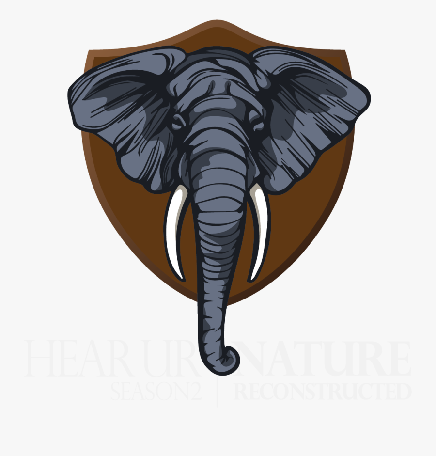 Transparent Erie Canal Clipart - African Elephant, Transparent Clipart