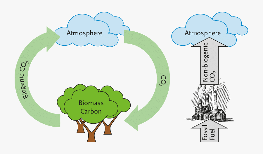 It Is Imperative That The Linear Flow Of Fossil Carbon - Biomass Co2 Emissions, Transparent Clipart