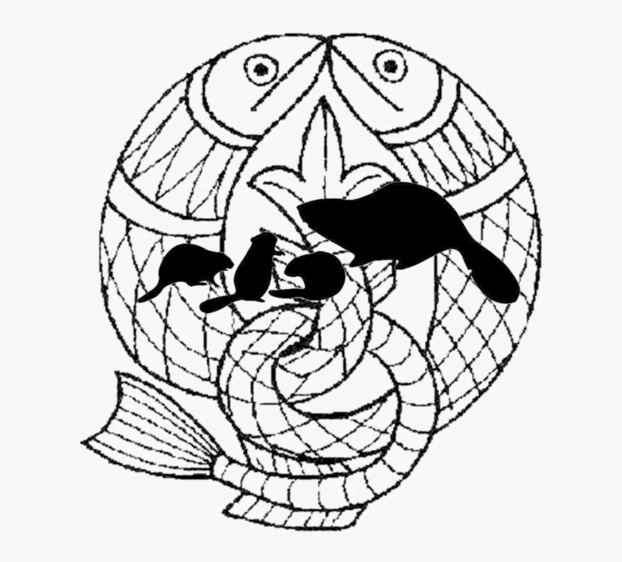 Beavers & Salmon « - Salmon Of Knowledge Art, Transparent Clipart