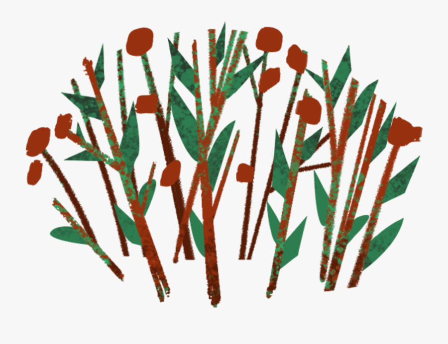 Clip Art, Transparent Clipart