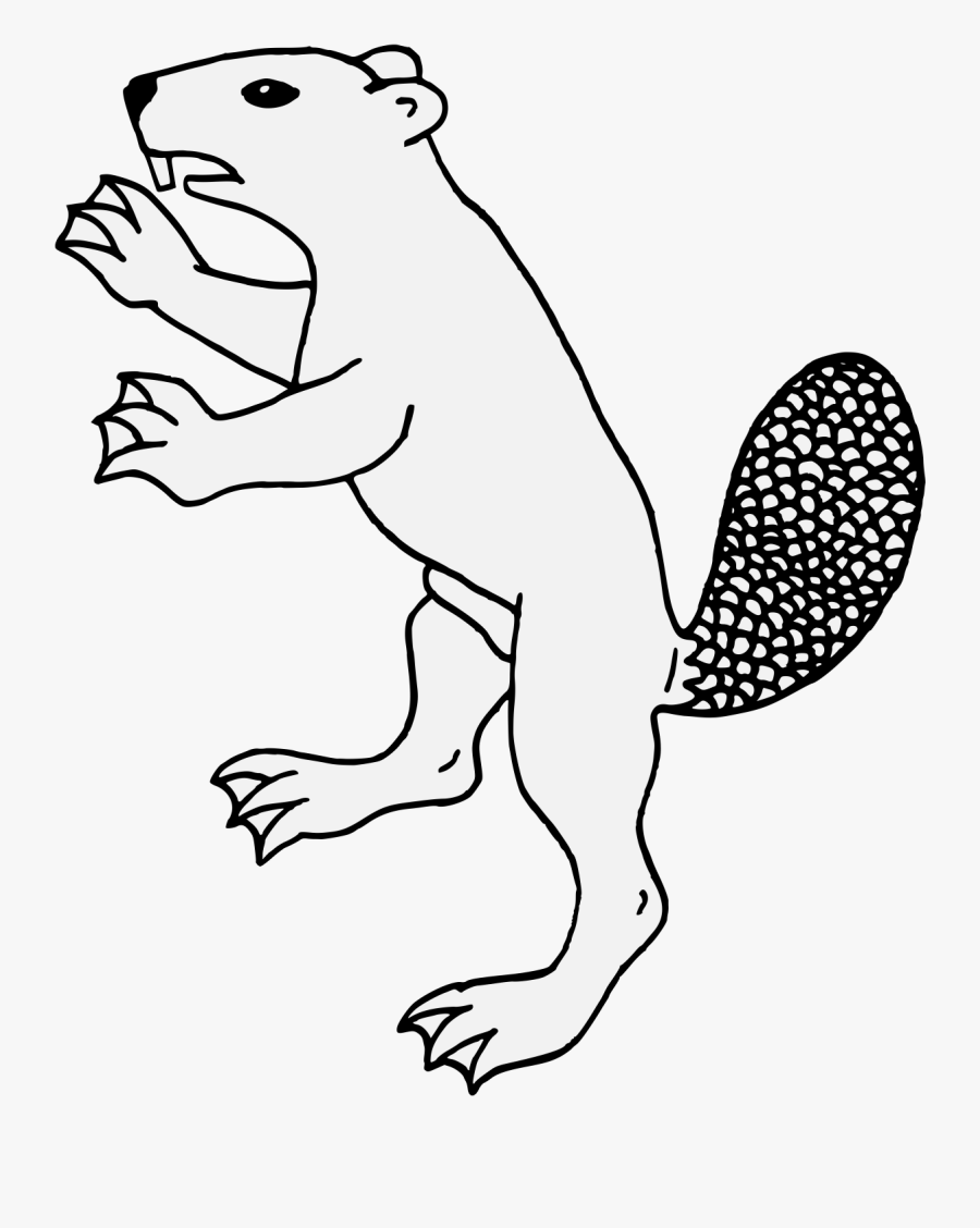 Line Art, Transparent Clipart