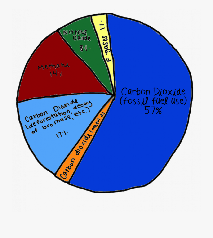 Circle, Transparent Clipart