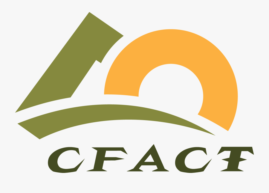 Graphic Design, Transparent Clipart