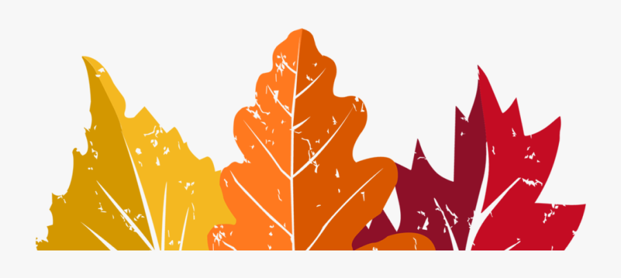 Maple Leaf, Transparent Clipart