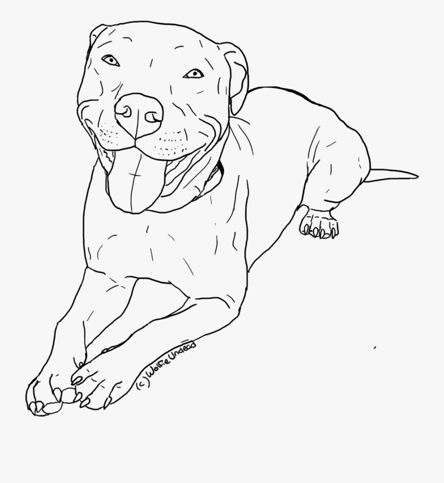 Transparent Pitbull Clipart - Pit Bull Drawing, Transparent Clipart