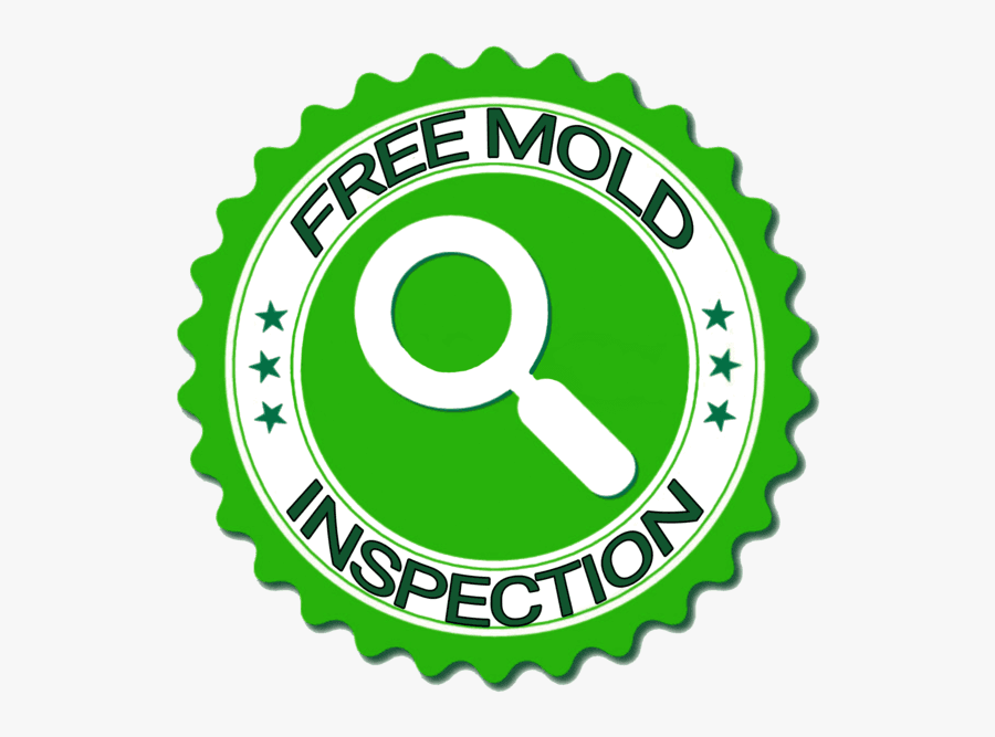 Free Mold Inspection - Vector Graphics, Transparent Clipart