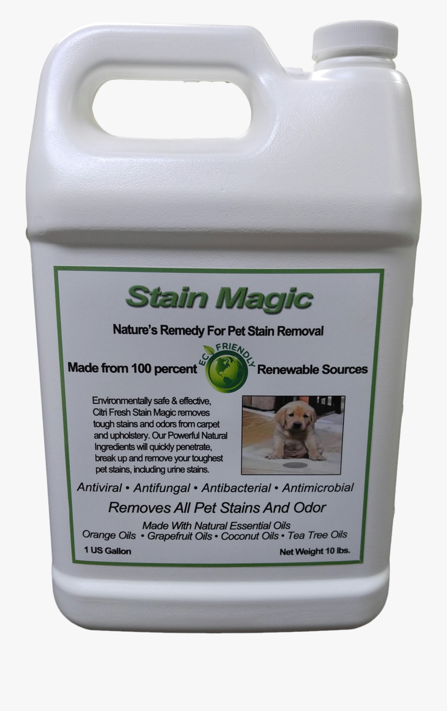 Mold Shield, Transparent Clipart