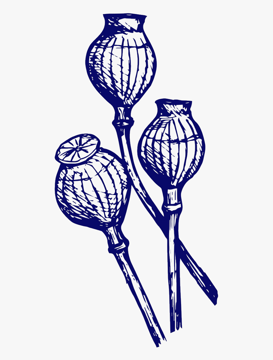 Heroin Cliparts - Opium Png Clipart, Transparent Clipart