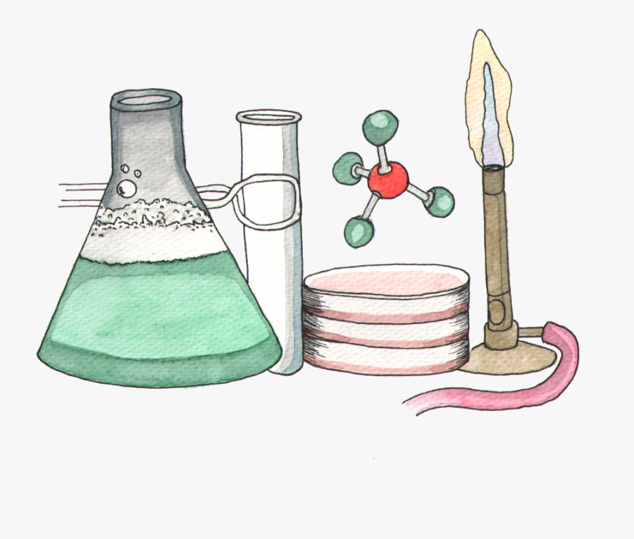 Science In Brief - Drawing, Transparent Clipart