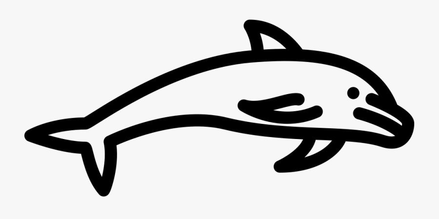 Transparent Dolphin Jumping Png, Transparent Clipart