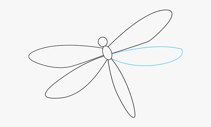 Dragonfly, Transparent Clipart