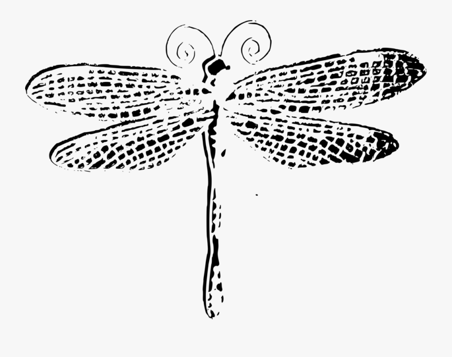 Symmetry,monochrome Photography,tree - Dragonfly Black And White Drawing, Transparent Clipart