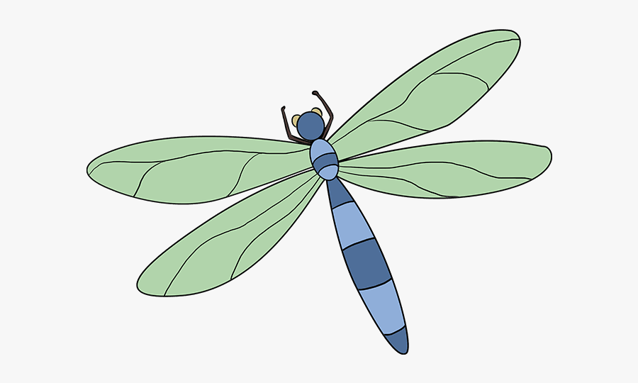 Dragonfly Drawing, Transparent Clipart