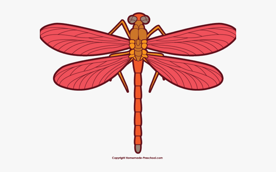 Dragonfly Clipart Png, Transparent Clipart