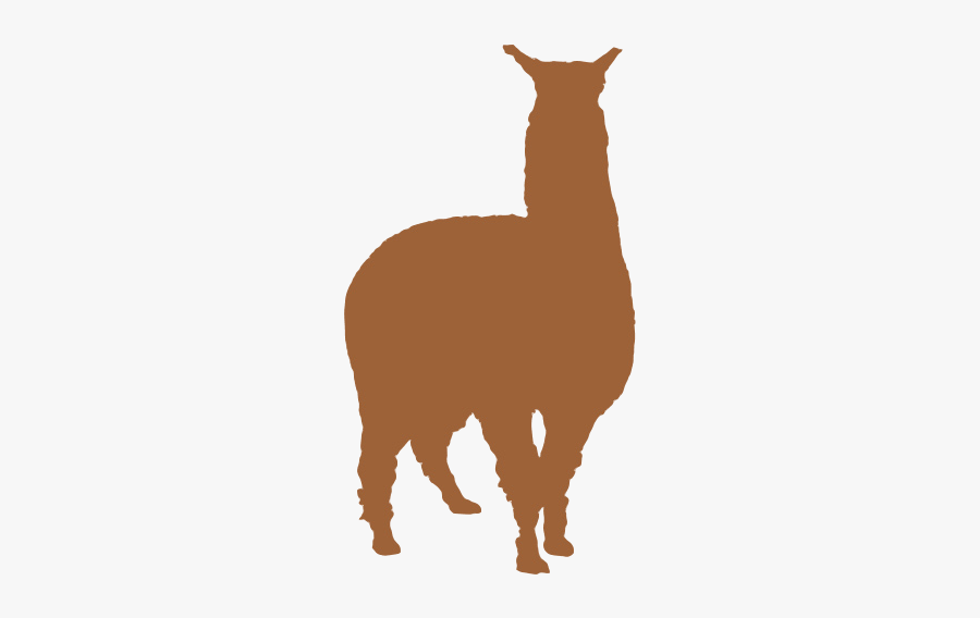 Llama Guanaco Alpaca Silhouette - Camelids Silhouette, Transparent Clipart
