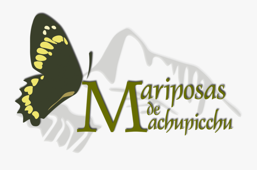 Transparent Mariposas Png - Papilio Machaon, Transparent Clipart