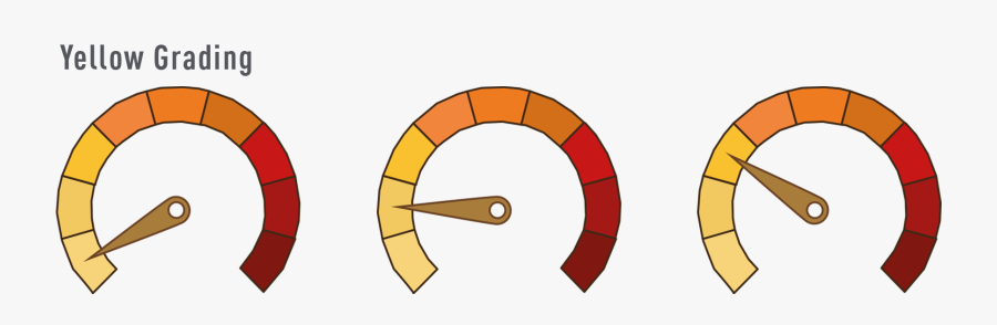 Circle, Transparent Clipart