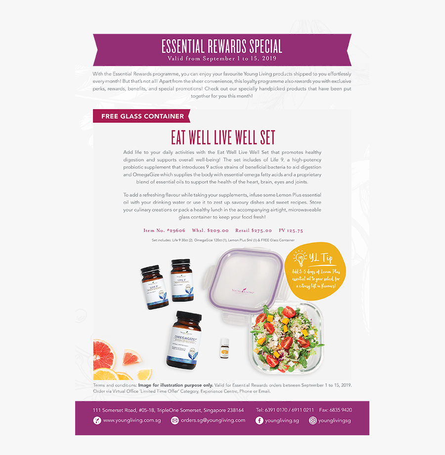 Brochure, Transparent Clipart