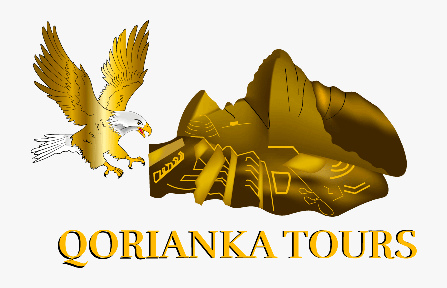 Red-tailed Hawk, Transparent Clipart