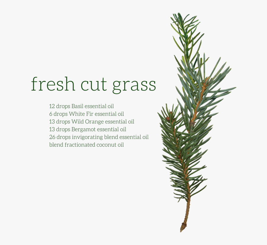 Picture - Fresh Grass Essential Oil, Transparent Clipart