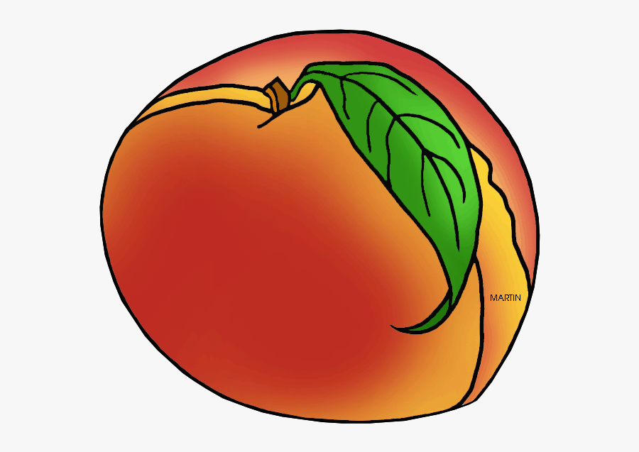 South Carolina State Fruit, Transparent Clipart