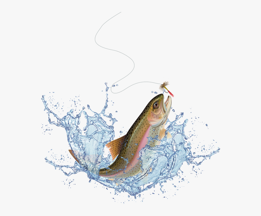 Jumping Fish Transparent - Fish Jumping Out Of Water Png, Transparent Clipart